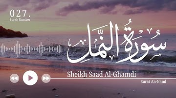 سورة النمل- سعد الغامدي | Surat An-Naml - Saad Al-Ghamdi