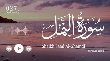 سورة النمل- سعد الغامدي | Surat An-Naml - Saad Al-Ghamdi