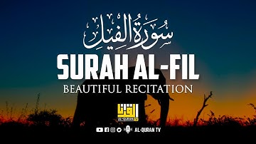 Surah Al-Fil سورة الفيل | Ahmed Al-Shalabi (أحمد الشلبي) | Al Quran TV