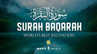 Surah Baqarah Full سورة البقره | Ultimate Relaxing Most Beautiful Heart Calming Quran | Zikrullah TV