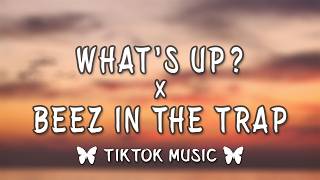 What's Up? x Beez In The Trap (TikTok Remix,Mashup){Lyrics} I wake in the morning and I step outside