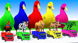 5 Giant Duck Cartoon,Cow,Mammoth,Elephant,Lion,Tiger Paint Wild Animals Crossing Fountain Animation