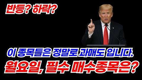 여기부터 조심합니다. (엔비디아, 마이크로소프트, 슈마컴, 팰러다인, 아처 에비에이션, 서브 로보틱스, 포엣, 마라 홀딩스, 업스타트, 코어위브, 뉴스케일, 메타, 아이온큐)