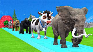 Paint & Animals Mammoth,Gorilla,Tiger,Duck,Cow,Lion Fountain Crossing Transformation Animals Cartoon