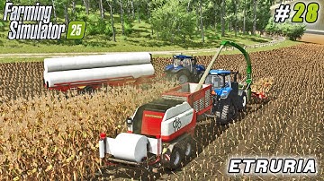 Turning Corn into Silage and Compost, Field Mulching | Farming simulator 25 | Etruria Farm | ep #28