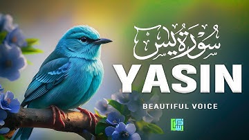 Surah Yasin (سورة يس) | Relaxing Lofi Quran for Sleep, Peace & Serenity #lofiquran