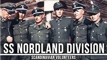 Fall Asleep To | The ENTIRE History of the SS Nordland Division – Volunteers on the Eastern Front