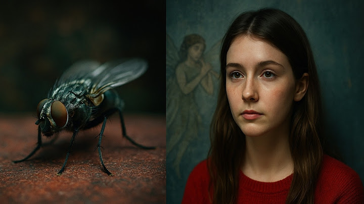 Insectes vieillissants et fausses fées | Les Témoignages d'Experts (Expert Witness - S1E7)