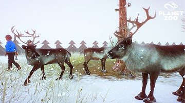 Starting a Festive Winter Zoo in Planet Zoo