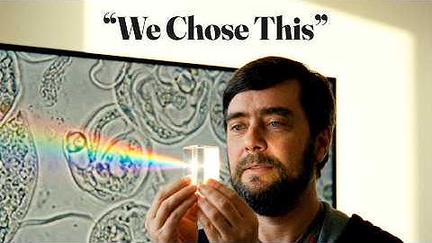 Why Bubble Sort Proves We Don