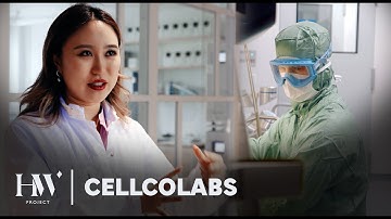 Stem Cells Could End Chronic Disease as We Know It: Dr. Mattias Bernow