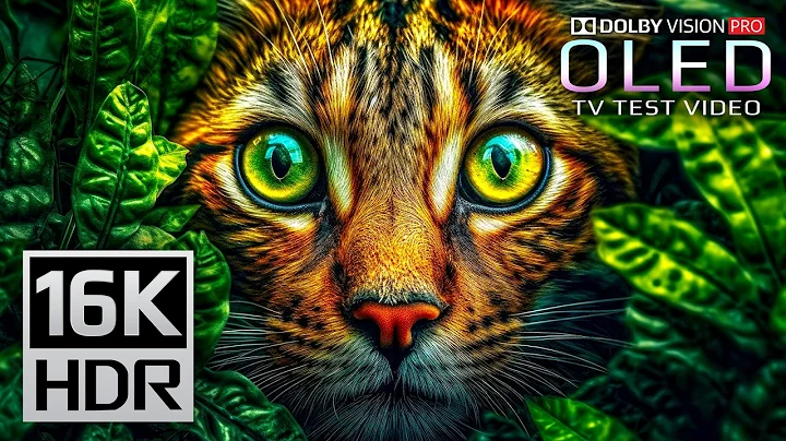 Majestic 16K HDR 120fps Video Dolby Vision (4K / 8K Video)