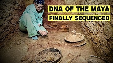 The Maya Didn’t Vanish — Ancient DNA Reveals What Really Happened