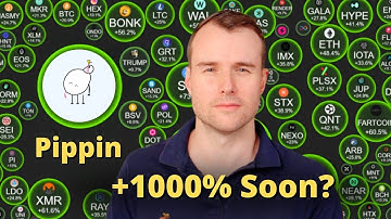 Too Late To Buy Pippin? 🤔 Crypto Token Analysis