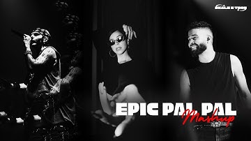 The Ultimate Pal Pal Mashup 2025 | AP Dhillon | Talwiinder | Anuv Jain | Young Stunners