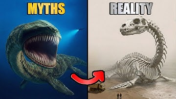 7 mythische wezens die echt hebben bestaan ​​| Deel 8 | heyzabd