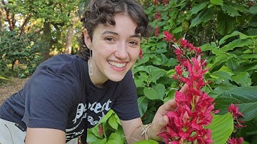 ASMR Outside in a Tropical Garden 🌿 (lofi, tapping & scratching, chaotic whispers, nature sounds)