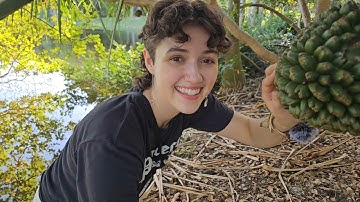 ASMR Outside in a Tropical Garden 🌿 (lofi, tapping & scratching, chaotic whispers, nature sounds)