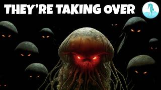 Jellyfish Are Taking Over the Oceans (Here's proof)