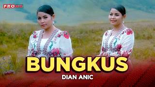 DIAN ANIC - BUNGKUS