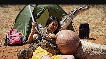 Emergency Surgery: Removing Live Cat From Giant Python Stomach After Campsite Attack