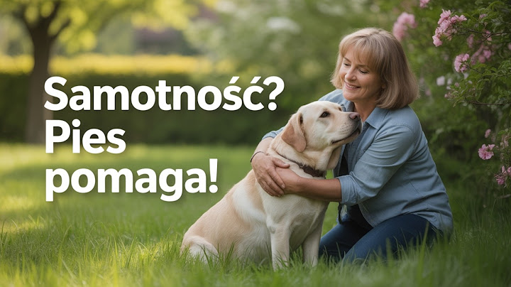 Dlaczego Na EMERYTURZE Warto MIEĆ PSA? | Psia Akademia