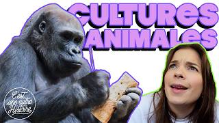 Les animaux ont une culture ??