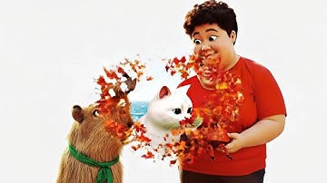 Kapybara - Thỏ trắng - Tý Béo – Mèo Vàng- Chó Shiba