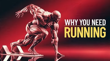 How Running Rewires Your Brain and Transforms Your Body