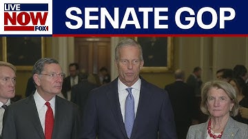 Senate Republicans speak on Epstein files release, government shutdown