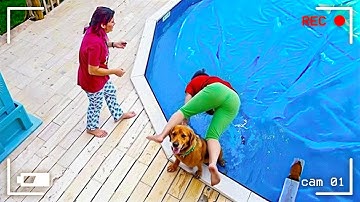 Best Fails of November  2025 😂 Try Not to Laugh Challenge