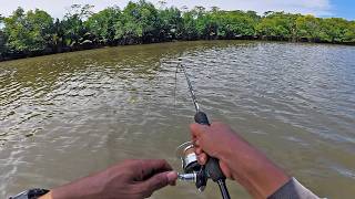 Delicious snapper fishing for dinner menu