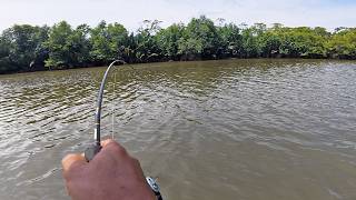 Mancing kakap Lezat untuk menu makan malam