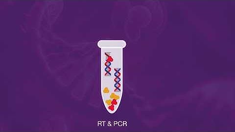 Which RT-PCR Method to Choose? One-Step vs Two-Step