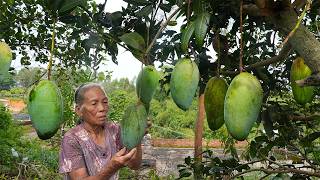 5 Ways to Use Mango in Traditional Chinese Cooking｜Guangxi Grandma
