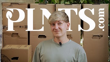XXL Sustainability Box von PLNTS im Test! 🤯 Den Hype wert? Lohnt sich das? 🤔
