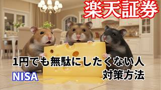 楽天証券の新サービスかぶピタでNISA余剰金を無駄なく使い切る