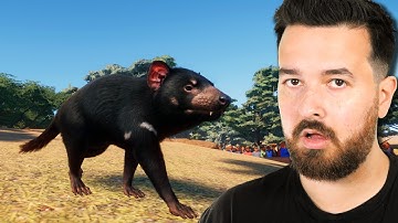 Tasmanian Devils in my Australian zoo #4