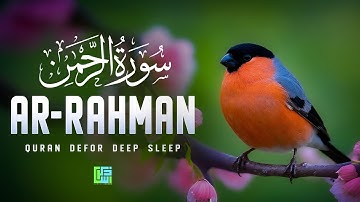 Surah Ar-Rahman (سورة الرحمن) | Most Beautiful Lofi Quran for Calm Sleep & Inner Peace | #lofi
