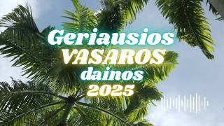 GERIAUSIOS VASAROS DAINOS 2025 | Lietuviškos dainos