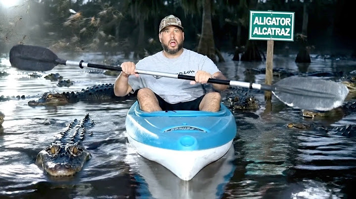 I Entered Alligator Alcatraz & It Was 10× Worse Than I Imagined