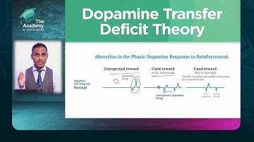 How Maladaptive Learning ‘Drives’ Psychosis and Addiction