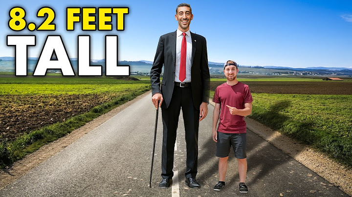 Meeting the World's Tallest Man (8.2 ft, 251 cm)