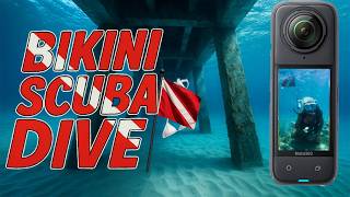 Swim into the bubbles and dive with me in 360 VR!