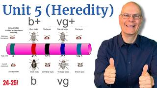 Crush it in AP Bio Unit 5 (Heredity: Meiosis and Genetics)