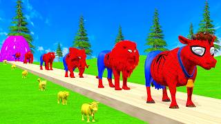 Paint & Animals Cow,Gorilla,Elephant,Lion,Tiger,Dinosaur, Fountain Crossing Transformation Cartoon