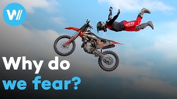 The Science of Fear: Irrational fears, thrill-seekers and dramatic treatments (Full documentary)
