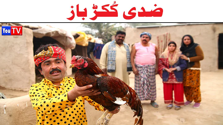 Number daar Zidi Kokar Baaz New Funny Video | Most Comedy Funny Video | You Tv Hd 2025