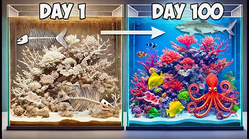 Simulating a Tide Pool for 100 Days