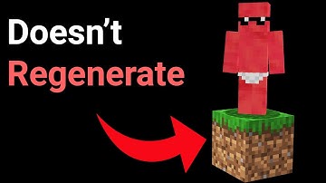 Minecraft, But Its Actually One Block